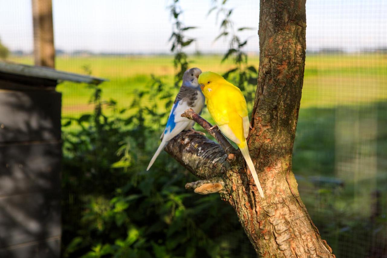 Het Groene Wout Goudriaan Bagian luar foto
